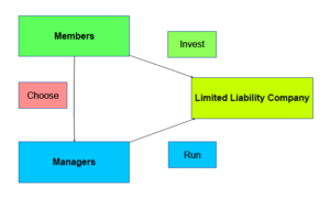 Types Of Business Ownership Hamle Rsd7 Org