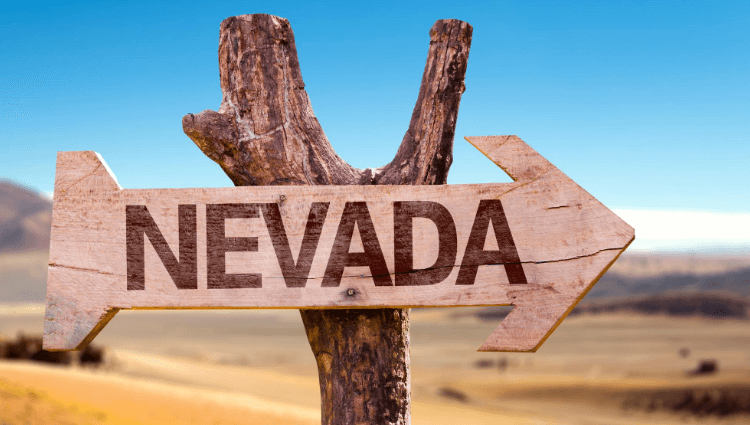 How to Set Up a Nevada LLC